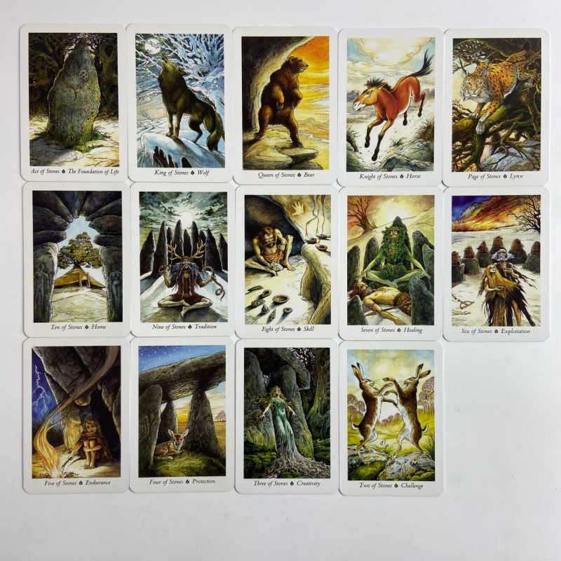 Подарунковий набір карт Таро The Wildwood Tarot (Таро Дикого лісу) книга + карти