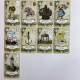 Карти Ленорман Old Style Lenormand старий стиль оракульна колода