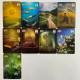 Карти Ленорман Thelema Lenormand оракульна колода без підписів Рената Лехнер