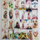 Карти Ленорман Sweet Blossom Lenormand Oracle Солодкий Квітковий оракул